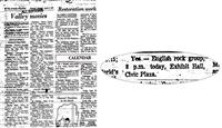 Articles & News